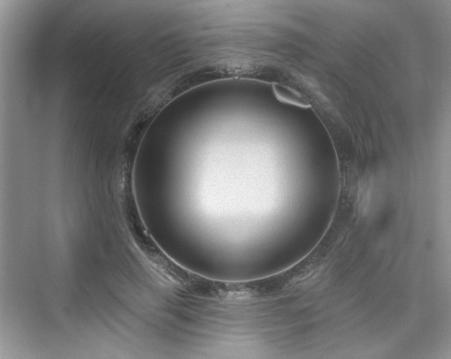 X0000076320645200609291055