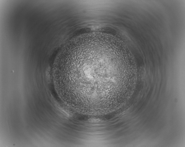 X0000076320650200609291055