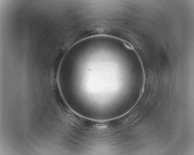 X0000076320651200609291055