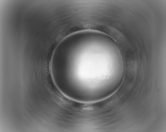 X0000076320653200609291055