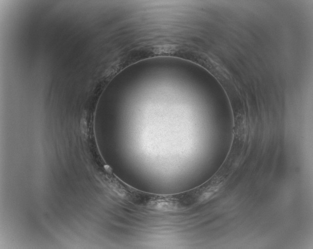 X0000076320655200609291055