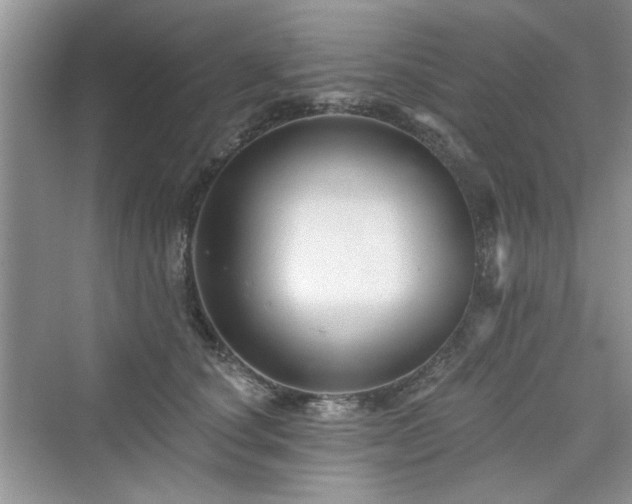 X0000076320660200609291055