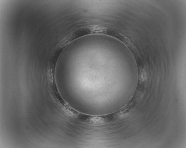 X0000076320666200609291055