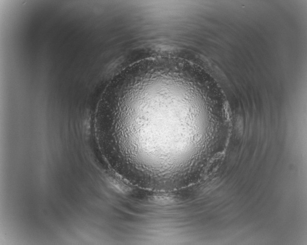 X0000076320668200609291055