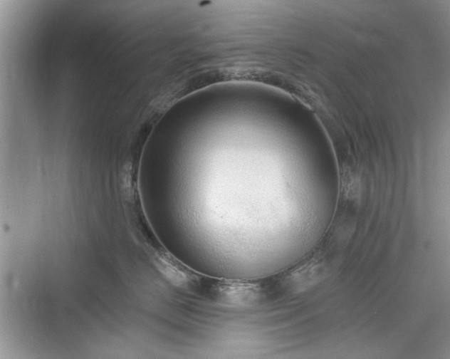 X0000076320670200609291056