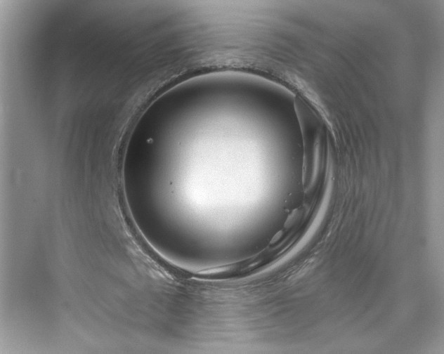 X0000076320673200609291055