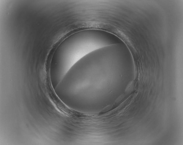X0000076320674200609291055
