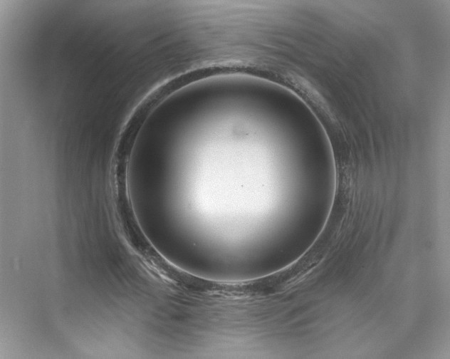X0000076320676200609291055