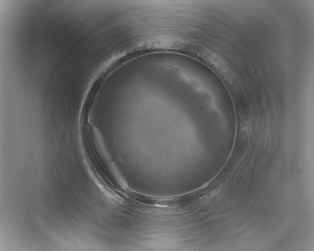 X0000076320678200609291055