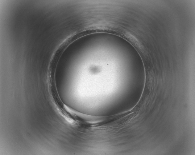 X0000076320680200609291055