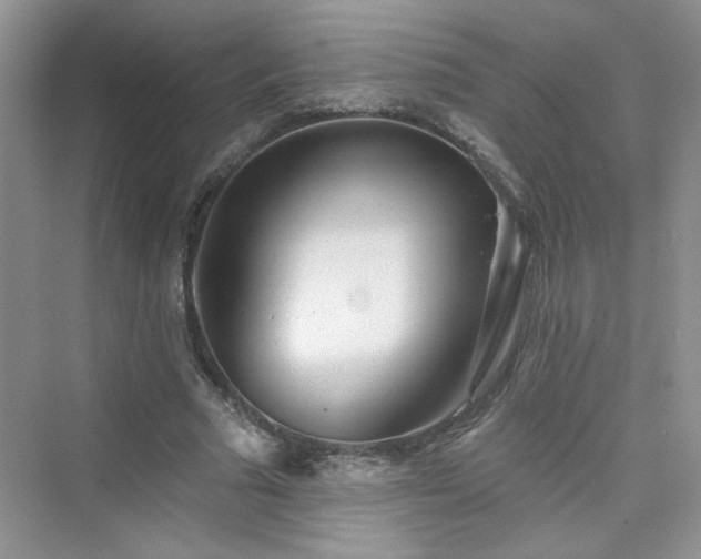 X0000076320681200609291055