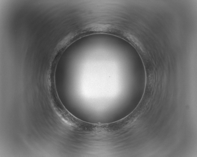 X0000076320682200609291055