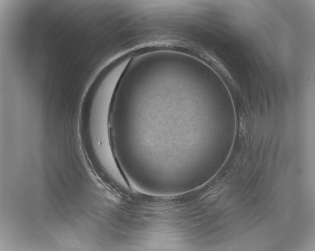 X0000076320724200609291053