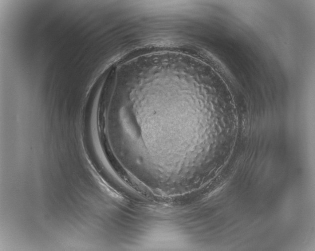 X0000076320725200609291053