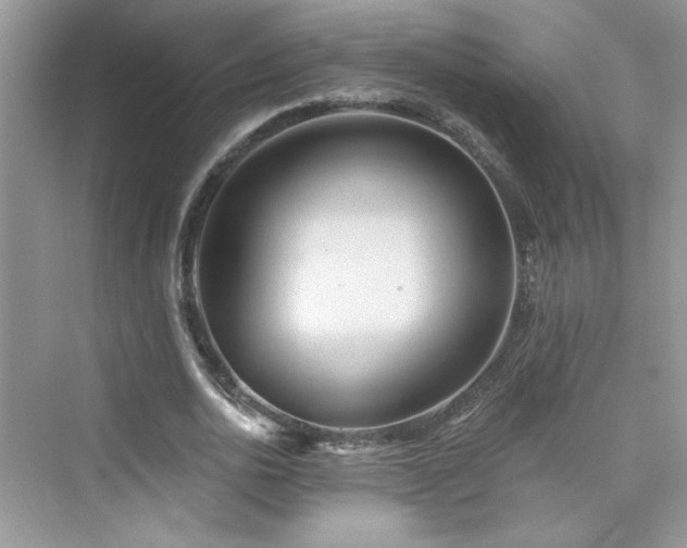 X0000076320726200609291053