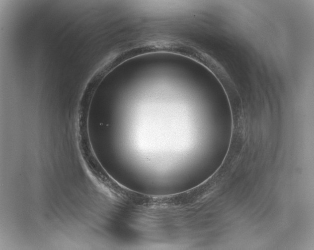 X0000076320730200609291053