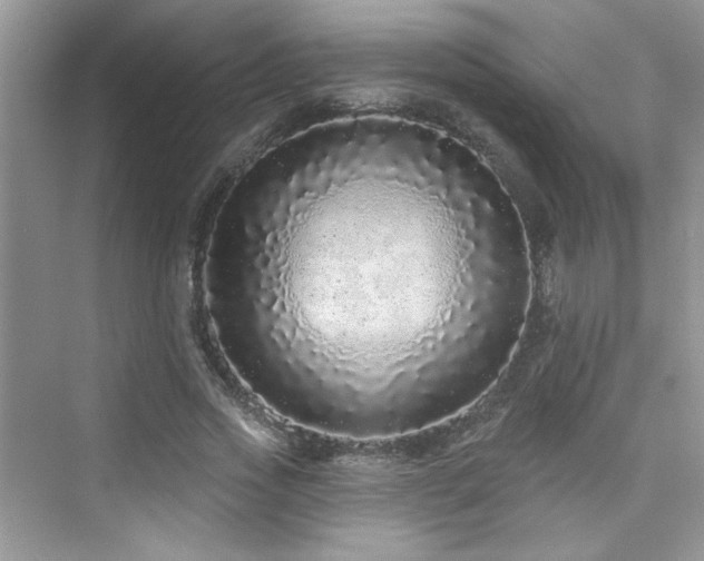 X0000076320733200609291053