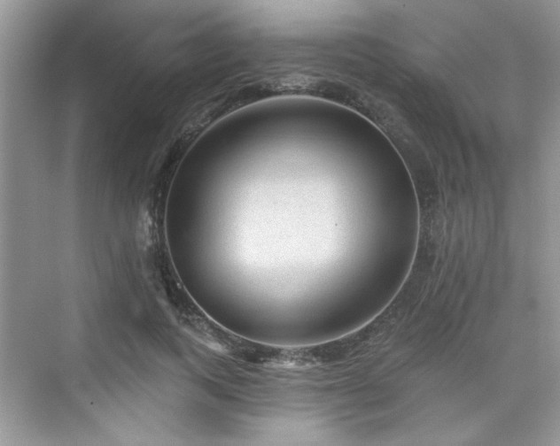 X0000076320743200609291054