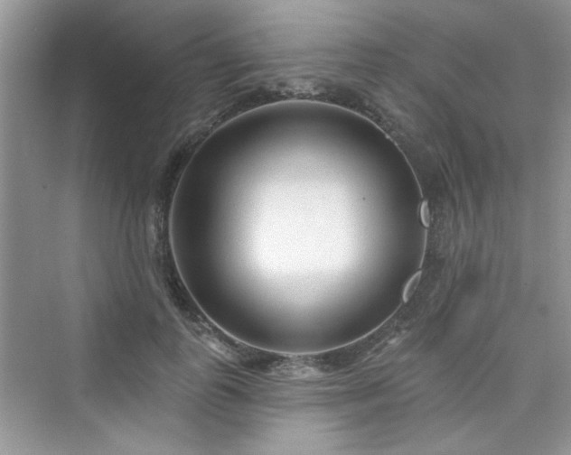 X0000076320747200609291054