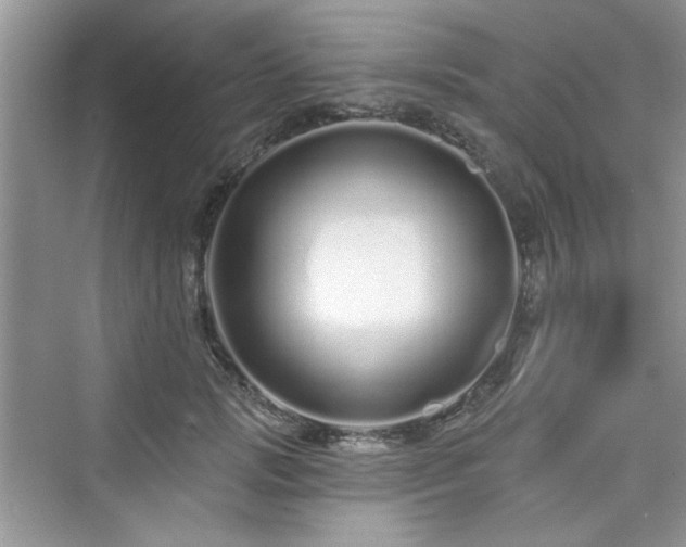 X0000076320749200609291054