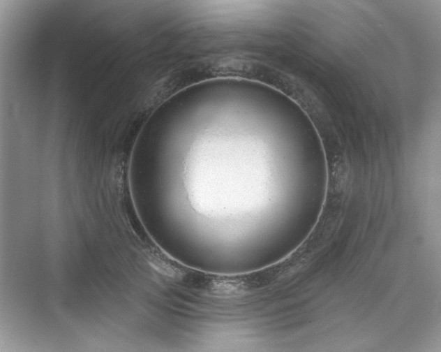 X0000076320753200609291054