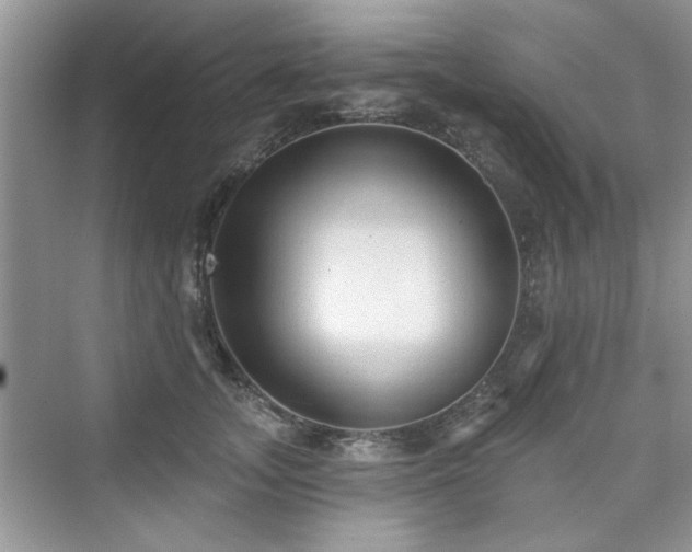 X0000076320755200609291054