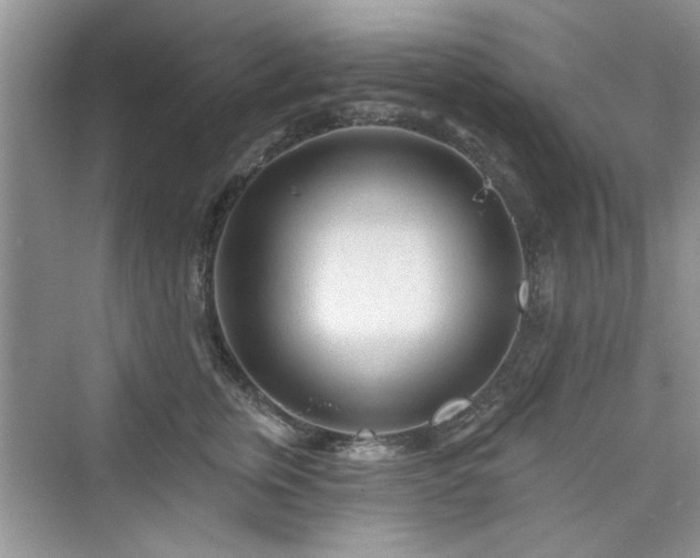 X0000076320759200609291054