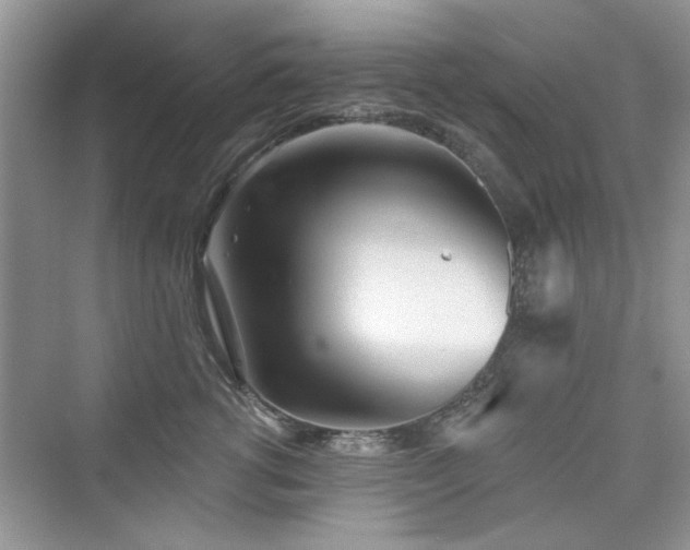 X0000076320762200609291054