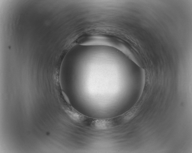 X0000076320766200609291054