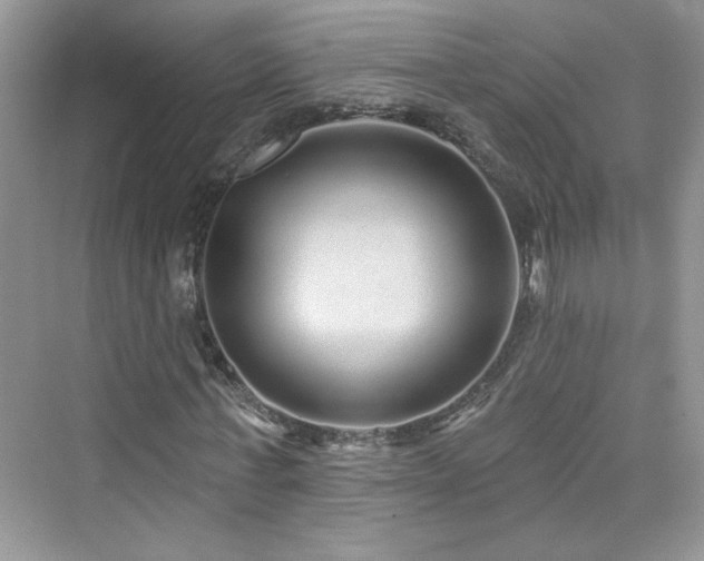 X0000076320771200609291053