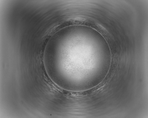 X0000076320774200609291053