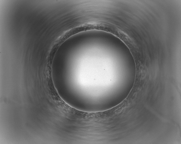 X0000076320776200609291053