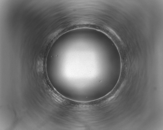 X0000076320777200609291053
