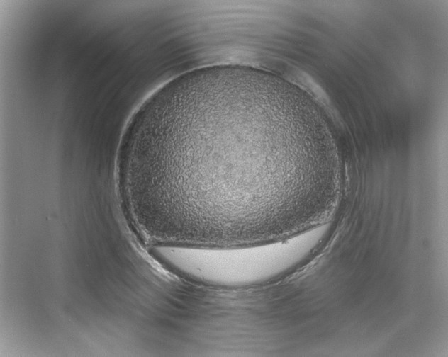 X0000076320780200609291053