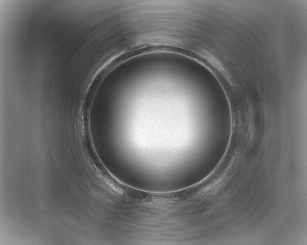 X0000076320782200609291053