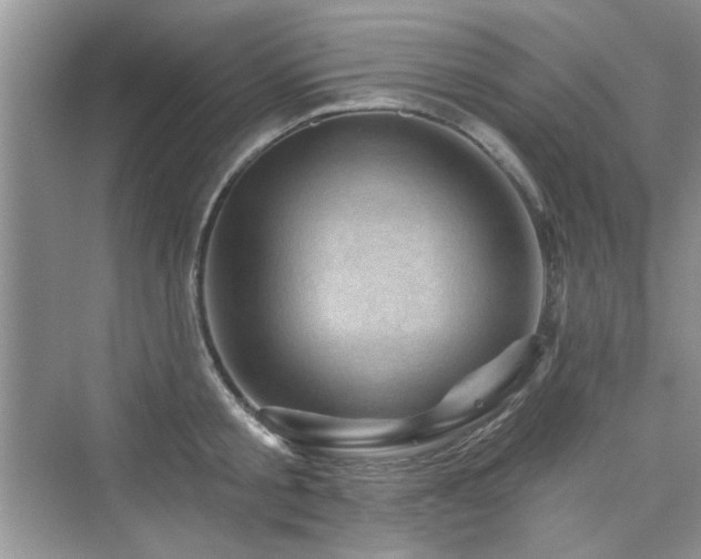 X0000076320805200609291053