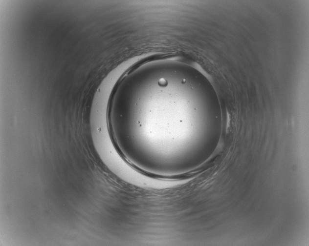 X0000076320818200609291052