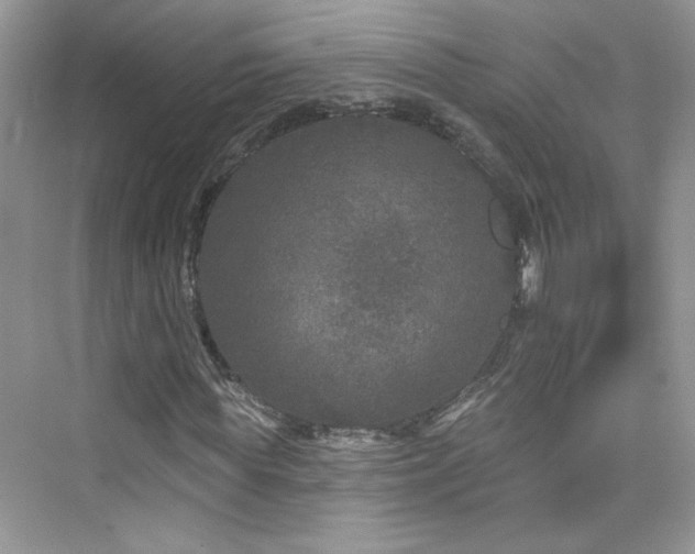 X0000076320819200609291052