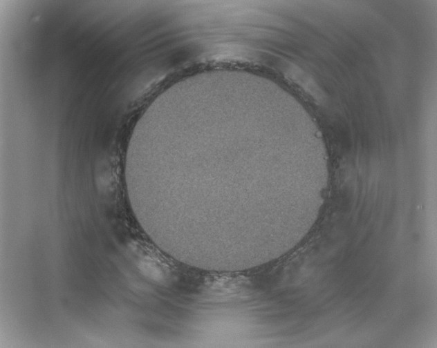 X0000076320824200609291052