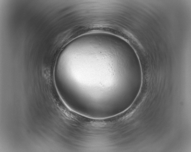X0000076320825200609291052