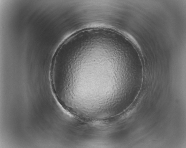 X0000076320847200609291052