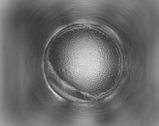 X0000076320855200609291052