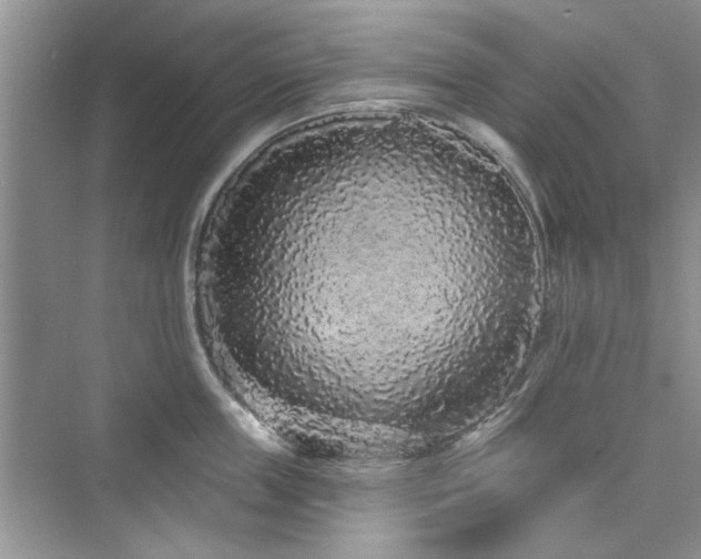 X0000076320859200609291052