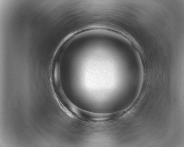 X0000076320862200609291052