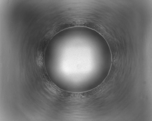 X0000076320866200609291051