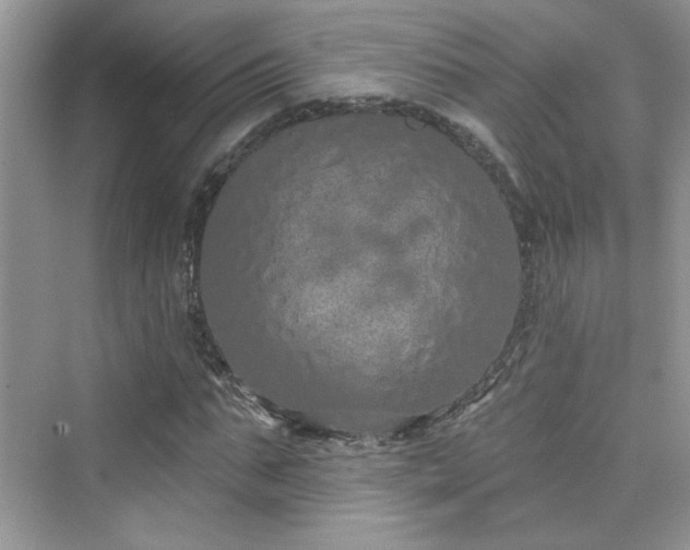 X0000076320871200609291051