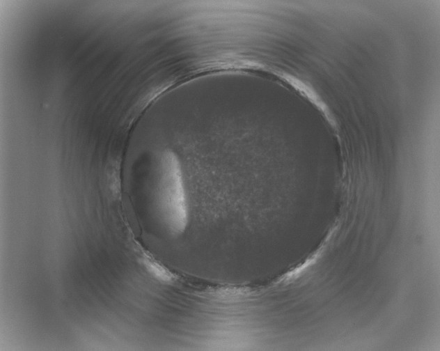 X0000076320889200609291051