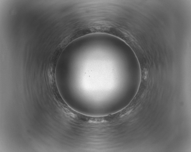 X0000076320915200609291050