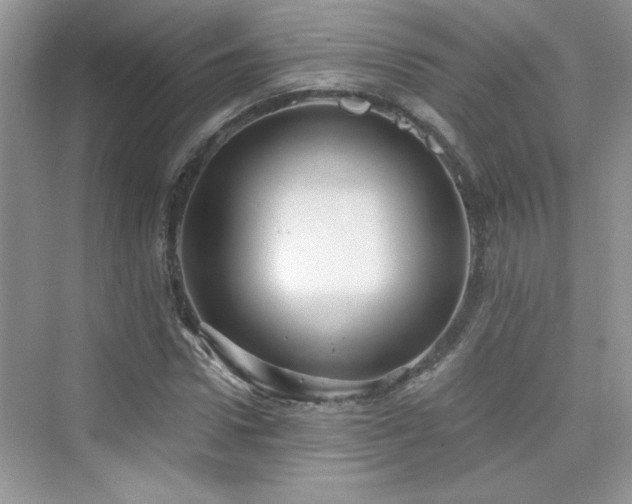 X0000076320922200609291050