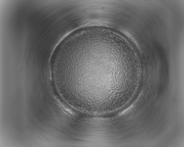 X0000076320925200609291050